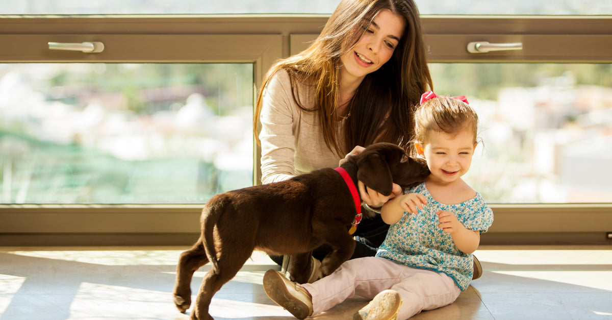 puppy with girl