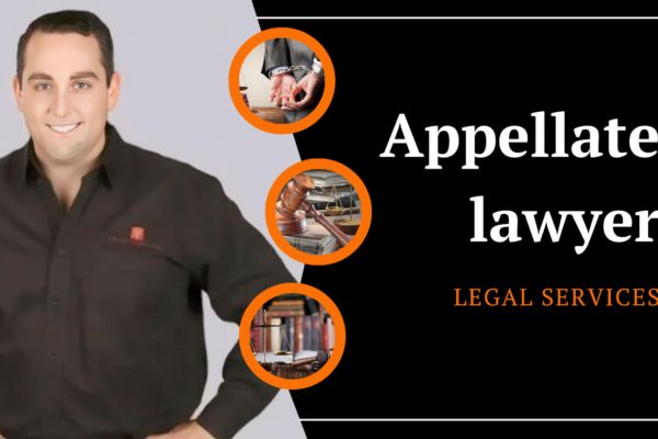 What Are the Expertise of an Appeal Lawyer